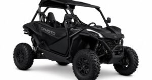 Buggy CF MOTO 800cc